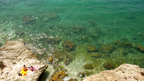 20080729-02jpg